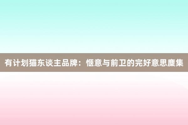 有计划猫东谈主品牌：惬意与前卫的完好意思麇集